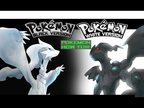 how to get tm flash in pokemon white