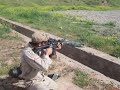 RDFA