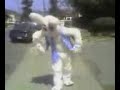 bitch ass bunny