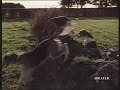 Energizer Fox Hunt