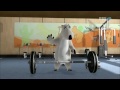 Bernard Bear Episode 12 2009