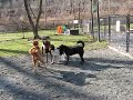 MVI_2545.AVI
