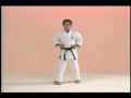 Goju-kai kata Sanchin