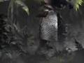 【MAD】 MH2 蒼穹のモンスターハンター