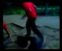 WWE g�rden