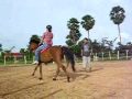 Welcome to The Happy Ranch !
