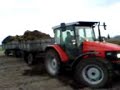 www.agrofoto.pl