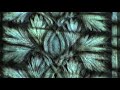 video by anita leib for the song adaptation from the roger eno & plumbline album transparencies released on hydrogen dukebox.  more info at neutralmusic.com and hydrogendukebox.com.