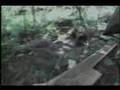 mtb dirt jump man without fear 