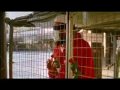gitmo-part-18.html