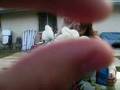 Picture 043.avi