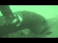 Ocean Dredging