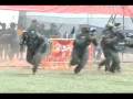 Traumahead sports Paintball