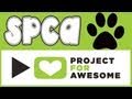 Project 4 Awesome! : BCSPCA