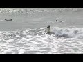 Surfing Kickflip Winner for Volcom Contest Zoltan Torkos 10K
