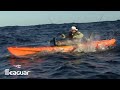 Shark Attack - Shark Rips Fish from Kayaker's Hand
