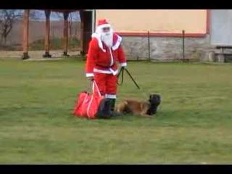 Santa Claus with his guard dog Tiger