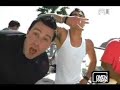Zebrahead