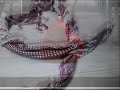 هالله هالله بالامانه .. بالعود