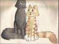 Forbidden Love: Warrior Cats