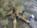 bionicle fight 2
