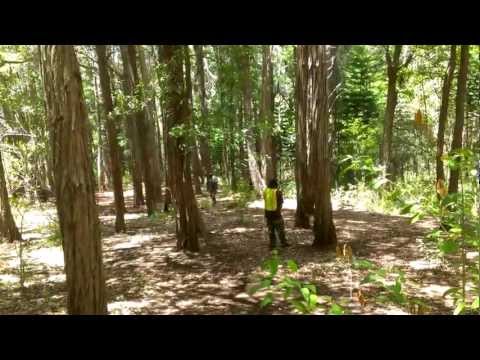 HawaiiPB - Fun in the woods with LTD Paintball. Stock class styles. Raw video from the Evo 4G LTE.