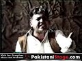 video pic