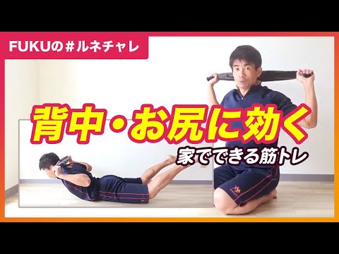 YouTube動画