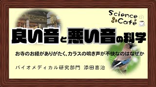 良い音と悪い音の科学フル版の動画へ