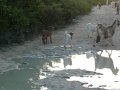 Rush hour, Long Island, Bahamas