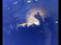 Eric Prydz- Proper Education Manele-Gratis.net