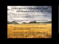 Development of Biofuels on Food Security in Developing Countries