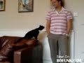 Man Treats Cat Like Cat Treats Man