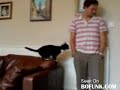 Man Treats Cat Like Cat Treats Man