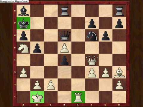 Gary Kasparov vs Veselin Topalov part 2
