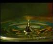 VJ Cold Fusion Lounge Session Live