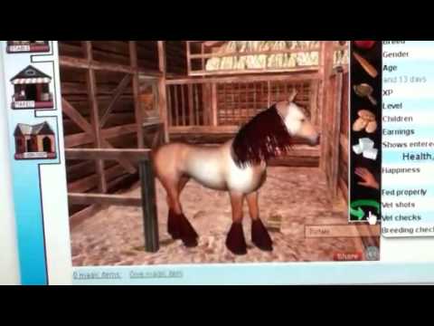 horses grand national