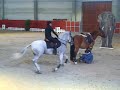 Spectacle fin d\