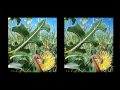No 3D Glasses Required - Amazing 3D Stereoscopic Images