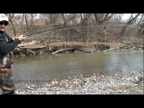 rainbowtrout - Tom Waldock fishing in Oshawa Creek south of the train tracks. Filmed and produced by WaCu Productions with co-operation from Hooked Young. www.hookedyoung.c...