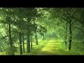 M.U - Leave Me M.U - Leave Me