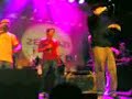 zed bazi in Amsterdam