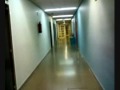 anatomia patológica hospital clínico san carlos