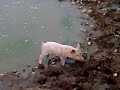 The Adventures of Sally Spotbottom! The Adventures of Sally Spotbottom!