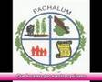 PACHALUM MIGRANTES