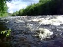 Dumoine River 2008
