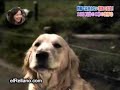 Camara Lenta Camara Lenta