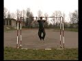 Trening Siłowy