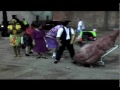 Las Pulgas del Viejo Circo (www.YemaTv.com)