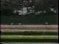 1979 Belmont Stakes